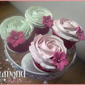 Diamond cakes carlow tropical cupcakes