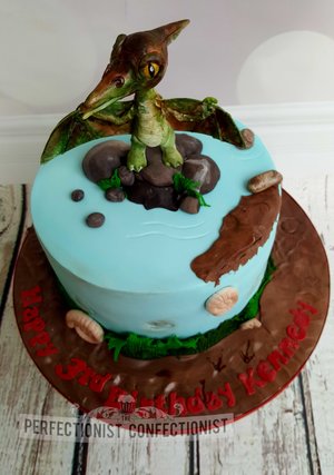 Dinosaur  birthday  cake  pterodactyl  lemon  dino  foxrock  ranelagh  swords  malahide  kinsealy  boy  girl  birthday cake  %2811%29