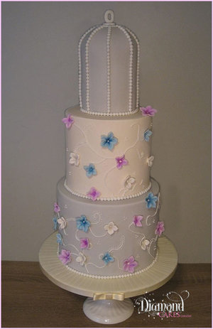 Diamond cakes carlow birdcage cake