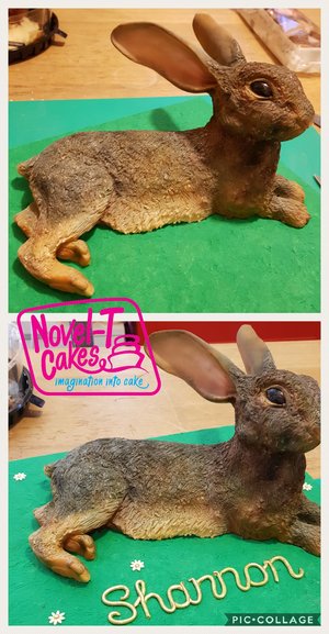 Carved rabbit cake