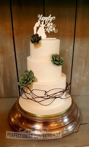 Wedding cake  succulent  elegant  ballymagarvey village  celebration cake  novelty cake  cake dublin  cake malahide  cake swords  %281 %283%29