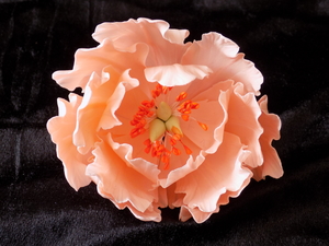Peony Rose