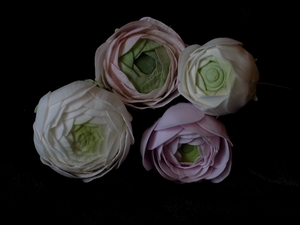 Ranunculus Flowers