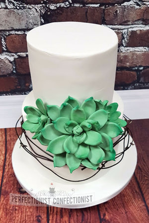 Wedding cake  roganstown  succulents  elegant  chocolate biscuit  gluten free  swords  malahide  kinsealy  rush  skerries   %286%29