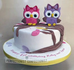 Twins  girls  owls  pink  purple  chocolate biscuit cake  cake  birthday cake  first birthday  1st birthday  swords  malahide  kinsealy  dublin  %283%29