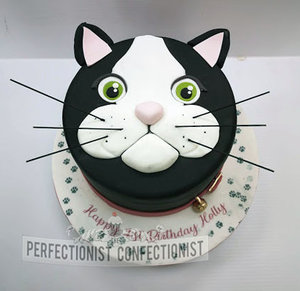 Cat  kitten  pussycat  birthday  cake  pawprints  black cat  dublin  swords  malahide  kinsealy  cake maker  chocolate  vanilla  celebration  bespoke  handmade %286%29