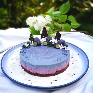 Raw vegan blueberry cheesecake