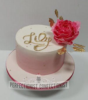 Pink  ombre  vingnette  flower  pretty  simple  birthday  cake  first  1st  swords  malahide  kinsealy  dublin  cake maker  %281%29
