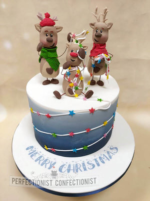 Reindeer  christmas cake  cake  christmas  vanilla  lights  novelty  celebration  dublin  swords  malahide  kinsealy  cake maker %282%29