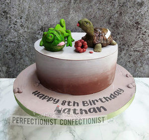 Reptile reptiles chameleon tortoise turtle birthday party cake birthday cake novelty celebration edible cake toppers toppers swords malahide kinsealy dublin make %286%29